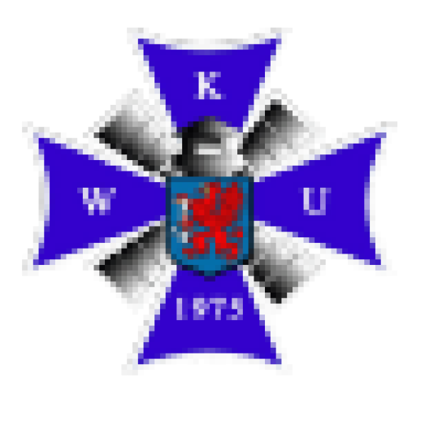 logo na strone_Obszar roboczy 1 kopia 2