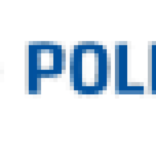 logo na strone_Obszar roboczy 1 kopia 4